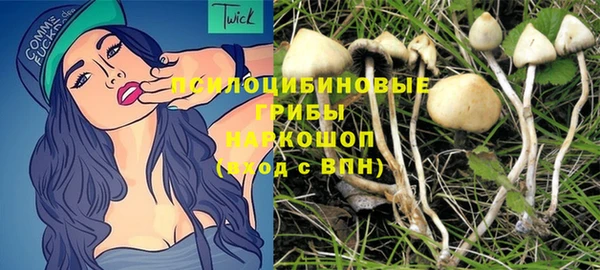 шишки Липки