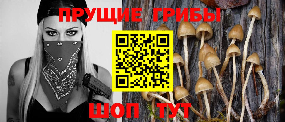 Псилоцибиновые грибы ЛСД Копейск